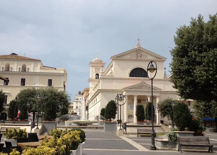 Newhouse Anthium - Central Chic Anzio